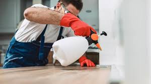 Real Estate Pest Inspections in Decatur, IL